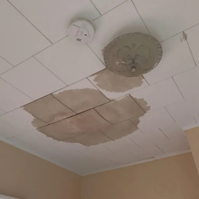 Ceiling Water Damage Repair in Negaunee, MI