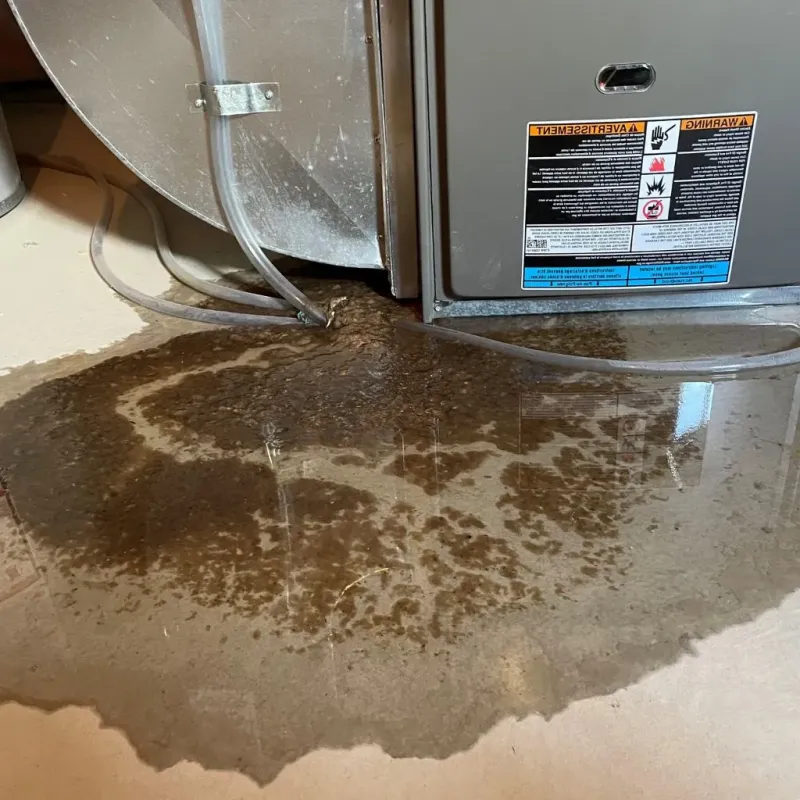 Pipe Burst and Leak Restoration in Negaunee, MI